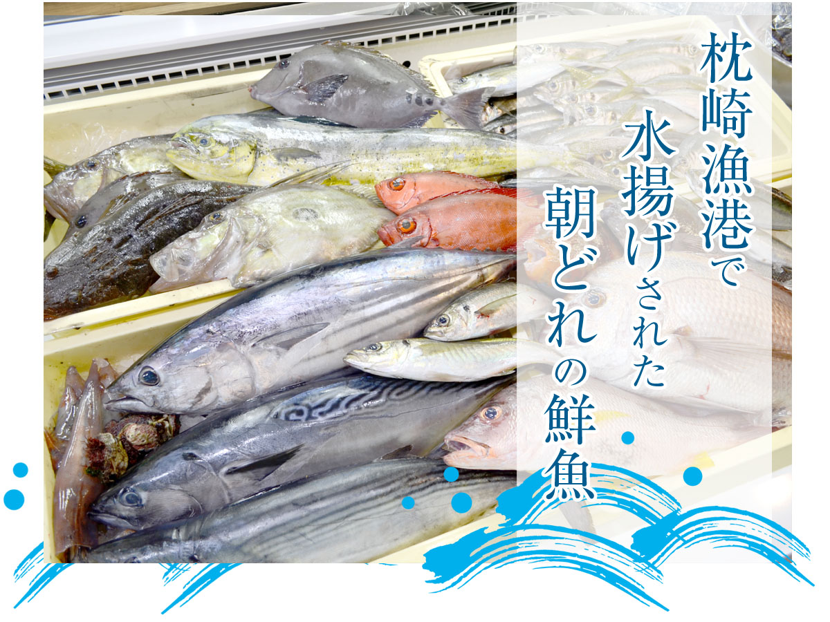 枕崎漁港で水揚げされた朝どれの鮮魚